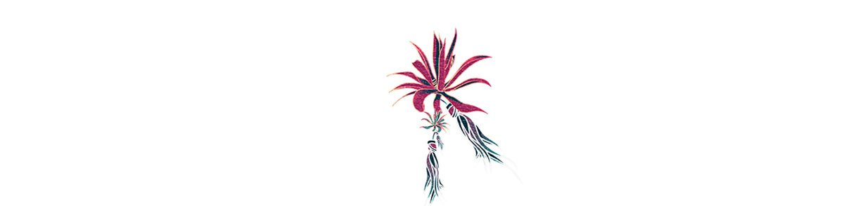 越南蜜餞食品 Nhà 品牌包裝vi設(shè)計(jì)，vi設(shè)計(jì)，視覺(jué)形象vi設(shè)計(jì)，食品vi設(shè)計(jì)，品牌包裝設(shè)計(jì)，蜜餞食品品牌vi設(shè)計(jì)，vi品牌策劃，深圳vi設(shè)計(jì)，左右格局