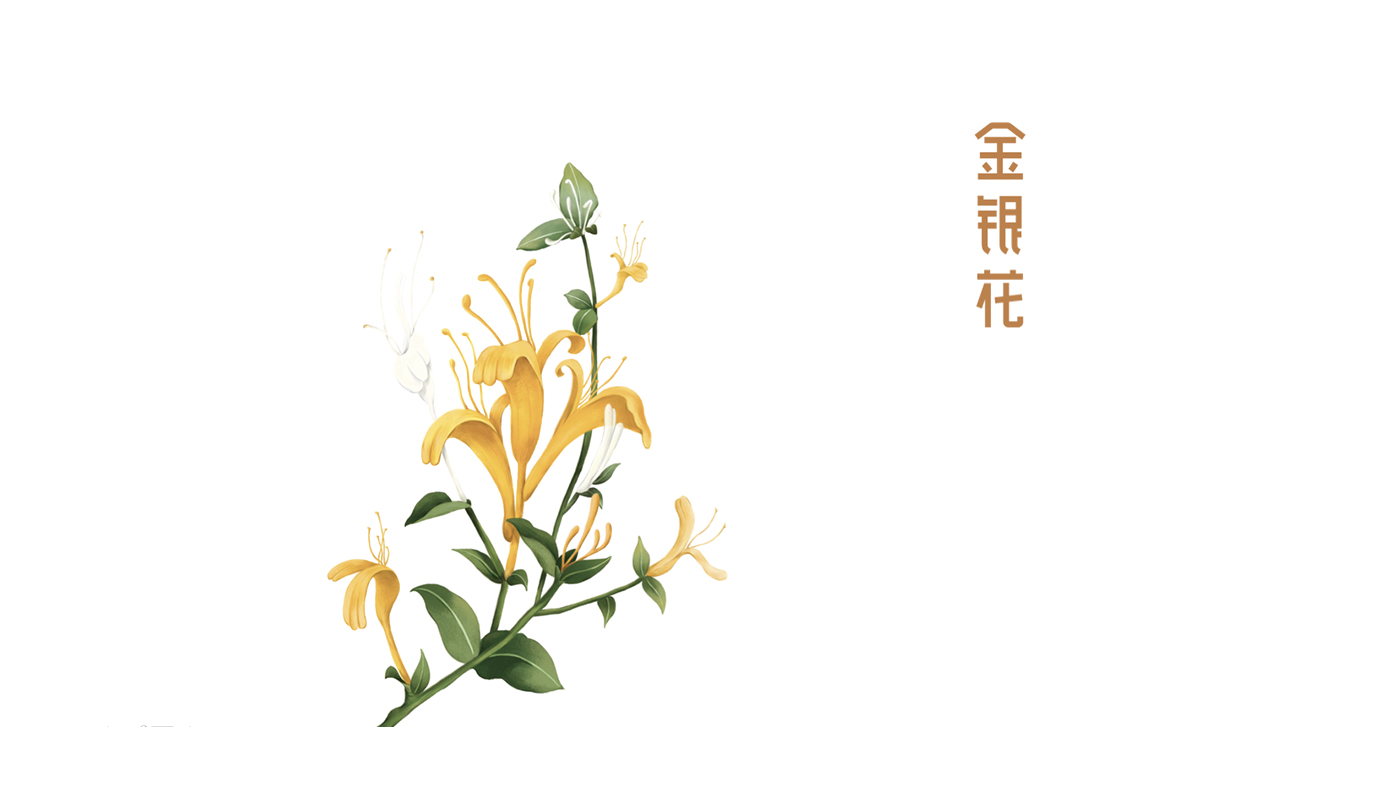 寶瓶堂傳統(tǒng)滋補(bǔ)行業(yè)品牌戰(zhàn)略升級－左右格局