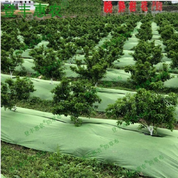 登豐惠農(nóng)防草布 環(huán)?？山到?防草透水透氣保肥保溫 白黑色 綠黑色地膜園藝地布