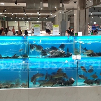 廣州好水族海珠酒飯店超市海鮮池魚缸制冷機(jī)安裝移動(dòng)大排檔貝類魚池定做