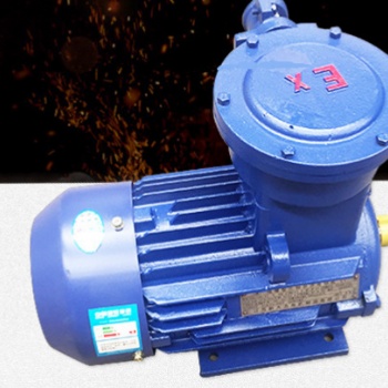 廠家防爆電機(jī)隔爆電動機(jī)