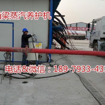 箱梁養(yǎng)護用小型電加熱蒸汽鍋爐