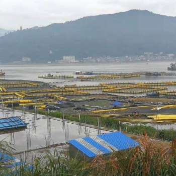 新型海洋養(yǎng)殖踏板設備 塑膠魚排防滑板生產線