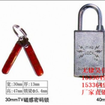 供應(yīng)昆侖國家電網(wǎng)標(biāo)志鎖昆侖塑料圓通鑰匙鎖昆侖塑料電力鎖廠家