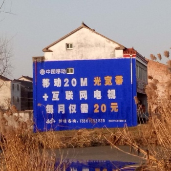 墻體廣告 手繪彩繪 環(huán)氧地坪 文化墻制作墻繪 標(biāo)語(yǔ)制作 噴繪布安裝 幼兒園彩繪 環(huán)氧地坪漆施工