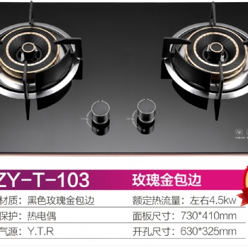 家用燃?xì)庠罹?、廚衛(wèi)電器，