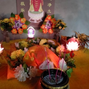 杭州念尼噢寵物火化殯葬服務(wù)，24小時上門接，距離近，口碑好