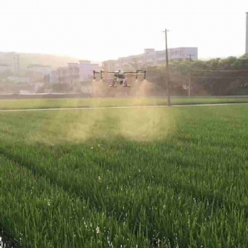廣東廣西無(wú)人機(jī)馬蹄花生玉米茶樹(shù)打藥服務(wù)