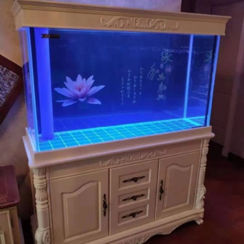 保定徐水鑫德龍水族私人訂制底濾生態(tài)魚缸