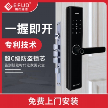 智能鎖，防盜門指紋鎖，酒店民宿密碼鎖，公安監(jiān)管鎖，公租房鎖