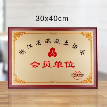 會員單位紀念品 送給合作伙伴獎牌 授權(quán)牌制作