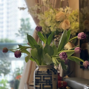 景德鎮(zhèn)陶瓷花瓶花盆批發(fā)，青花小花瓶定制廠家
