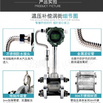 湖北、河南氣體流量計 渦街蒸汽流量計供應(yīng)商