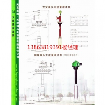 免維護(hù)綠牌防爆化工潛液泵