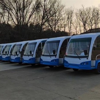 金水區(qū)電瓶10座擺渡車(chē)租賃