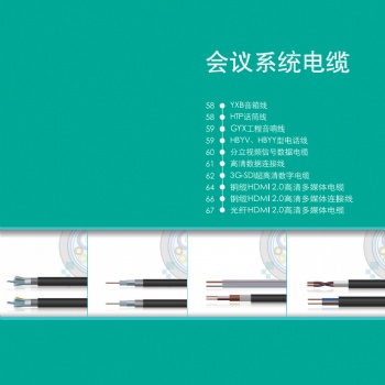 天誠(chéng)會(huì)議系統(tǒng)電纜，蘇州愛(ài)普特