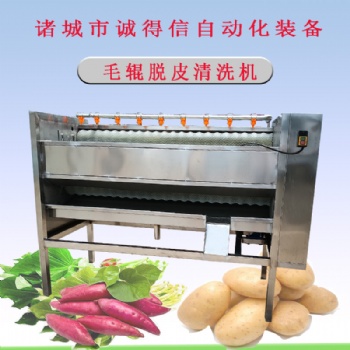 廠家供應(yīng)果蔬平行毛輥脫皮設(shè)備 桔梗黨參全自動脫皮機(jī)